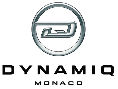 Dinamiq brand identity