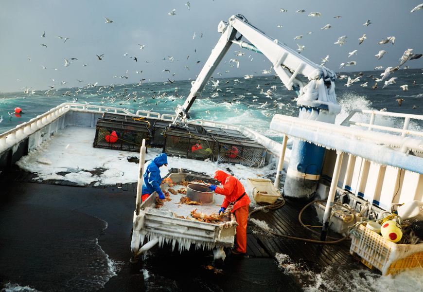 Series: Fish-work The Bering Sea. Photo: Corey Arnold