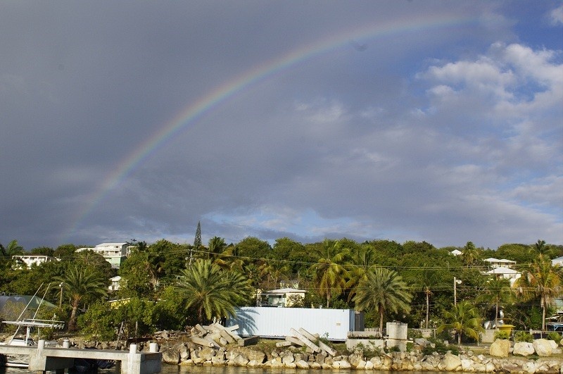 Marina Falmuta met the participants of the RBC regatta with a rainbow on a sky high.