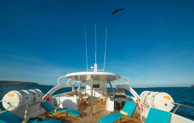 Custom Boats Majestic