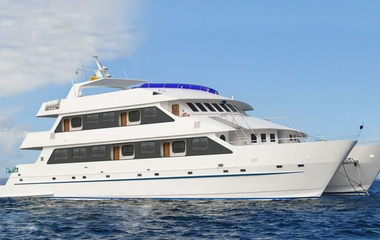 Custom Boats Cormorant