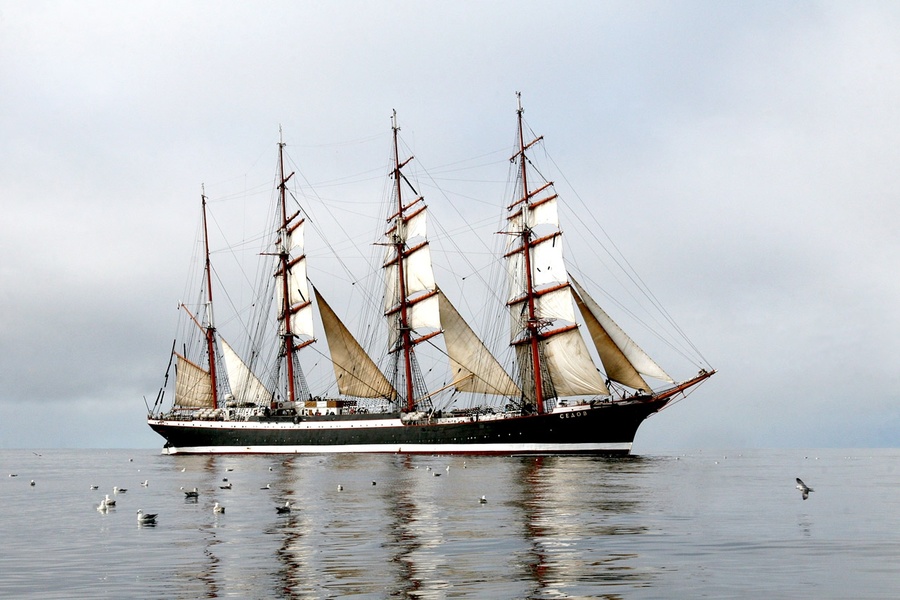 Bark "Sedov"