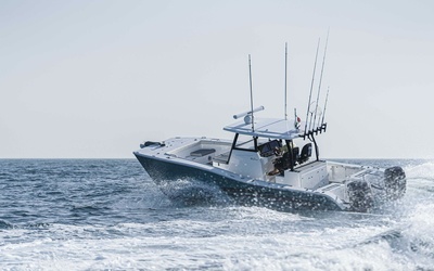 SilverCat 34HT