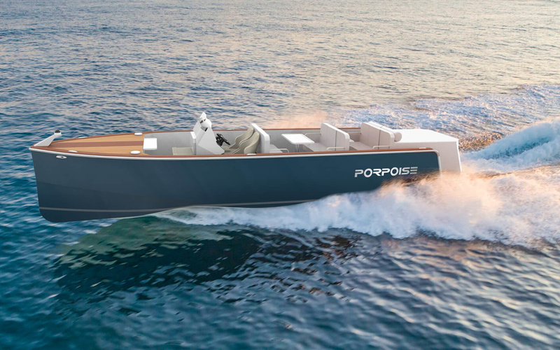 Porpoise PT900