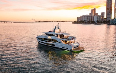 Horizon Crowned Eagle