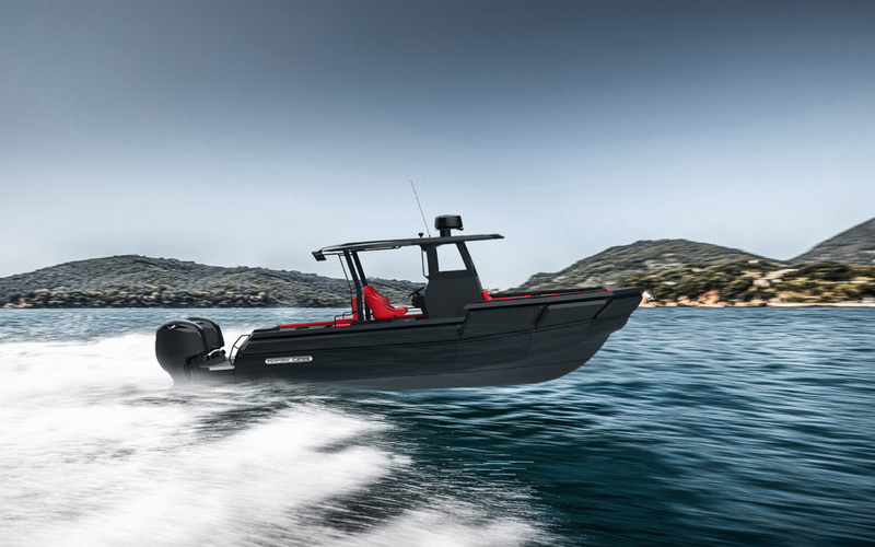 Porpoise C295