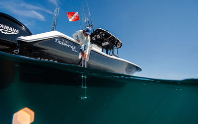 TideWater 282 CC Adventure Bluewater