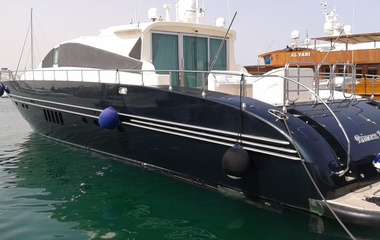 Leopard Princess Ayesha I