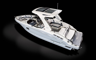 Chaparral 317 SSX