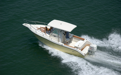 Fishing Raptor 265 Saint Tropez