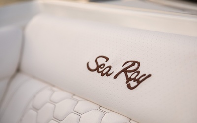 Sea Ray SDX 270 Outboard