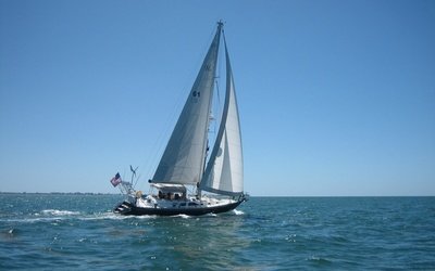 Hylas H49