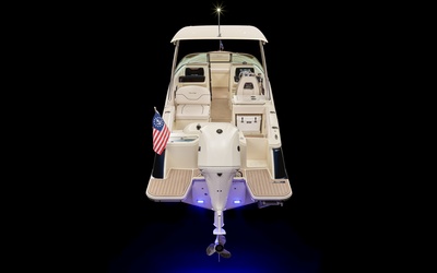 Chris-Craft Calypso 24