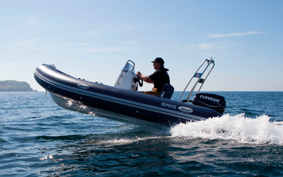 Brig Falcon 450