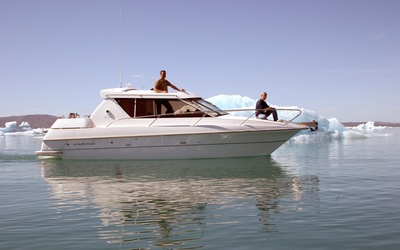 Marino Shark 29