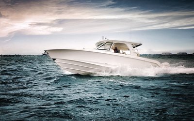 Boston Whaler 350 Realm