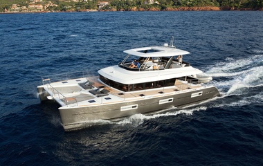 Lagoon Cute Little Cat