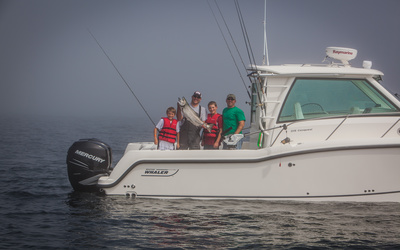 Boston Whaler 315 Conquest