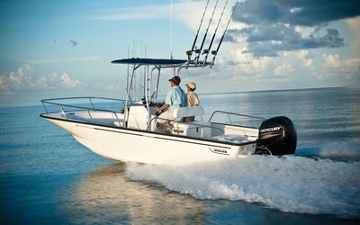 Boston Whaler 210 Montauk