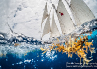 Eros and Columbia (its sails can be seen in the photo) are the only representatives of their «classes» (vintage and classic schooners) and compete with themselves.