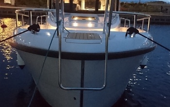 Sargo 33