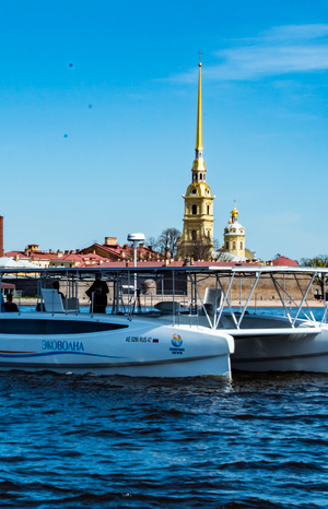 Peter was hit by an echo wave