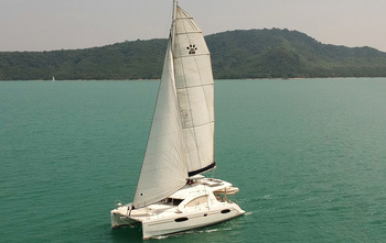 Leopard 39 (2012)