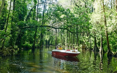 Bayliner Element E18