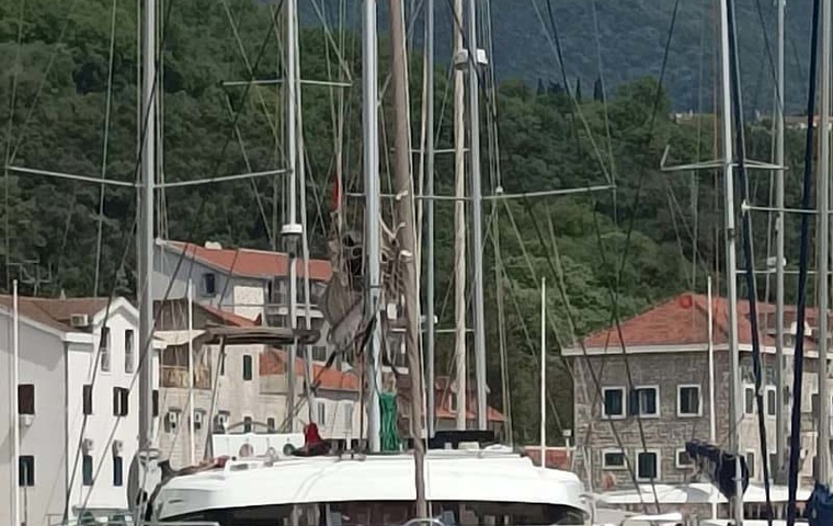 Bali Catspace Sail (2022)