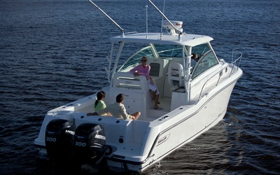Boston Whaler 315 Conquest