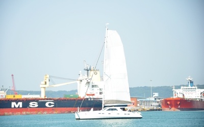 African Cats Geencat 605