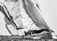 Team Sled removes spinnaker at the World Cup in TP52 class.