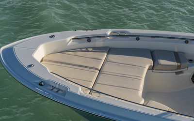 Boston Whaler 250 Dauntless