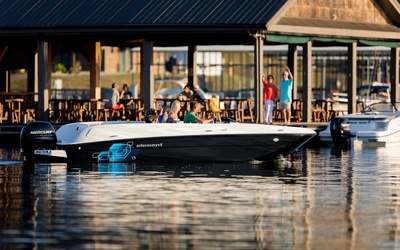 Bayliner Element E21