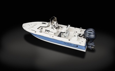 Robalo 206 Cayman