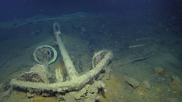 What are ships turning into 200 years after a wreck?