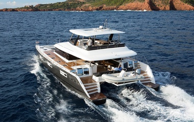 Lagoon Cute Little Cat