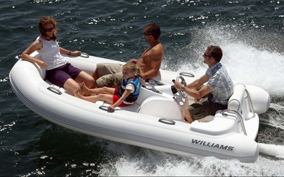 Williams Turbojet 325