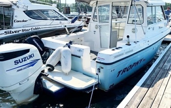 Bayliner VR5 Bowrider (2008)