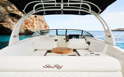Sea Ray SDX 270