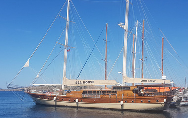 Custom Boats Seahorse