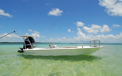 Dragonfly Emerger 16′