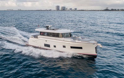 Арық африкалық бөкселер