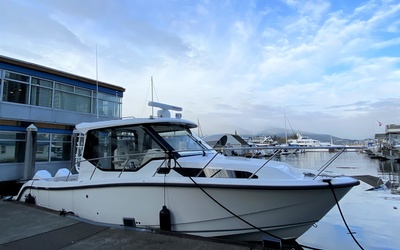 Boston Whaler 325 Conquest Pilothouse
