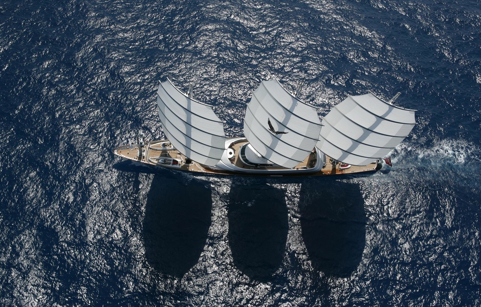 Maltese Falcon