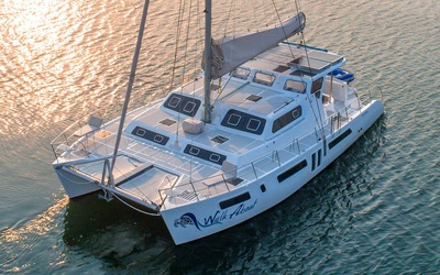 Royal Cape Majestic 530