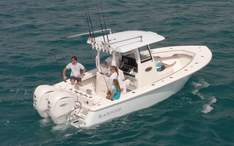 Blackwood 290 LX Open