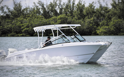 Twin Vee 240 Dual Console GFX