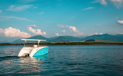 Green Dream Solliner 21 S