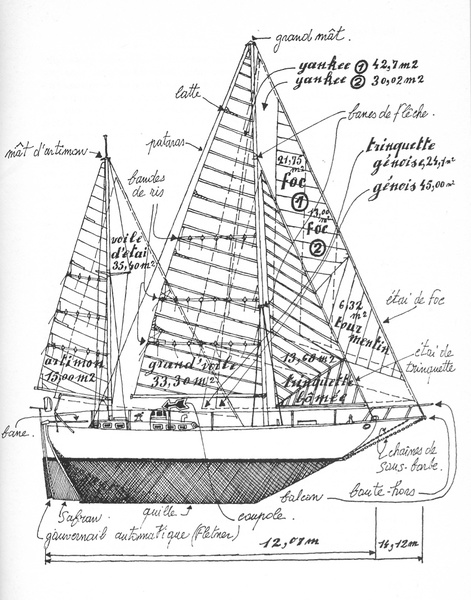 Bermuda Quech Joshua «grew» out of Maïté (drawing by B. Muatseye).